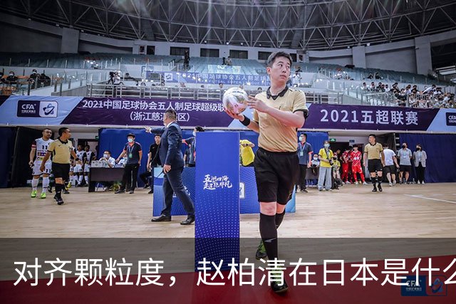 对齐颗粒度，赵柏清在日本是什么水平？