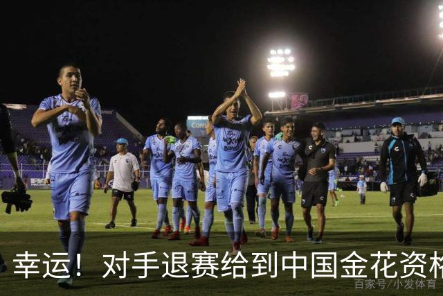 幸运！对手退赛给到中国金花资格，王欣瑜晋级WTA500东京站正赛