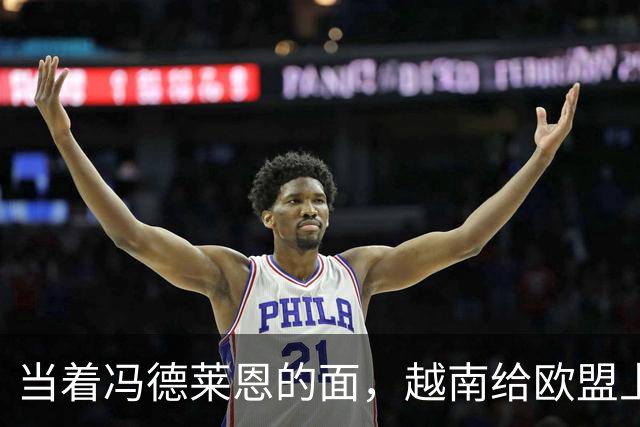 当着冯德莱恩的面，越南给欧盟上了一课：这就是“中国力量”